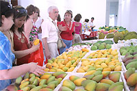 Магазин фруктов фжных стран. Покупка экзотических фруктов: манго, папайя, маракуя, авокадо, дыни.