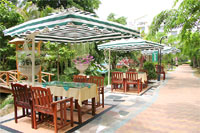 Парк отдыха одного из отелей на острове Хайнань. Тропическая растительность и редкие виды растений.