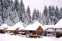 Карпаты зимой. Фотографии и заставки красивых зимних пейзажей в Карпатах. Природа зимой и снежные сугробы снега в горах и на вершинах Карпат. Фото и коллажи.