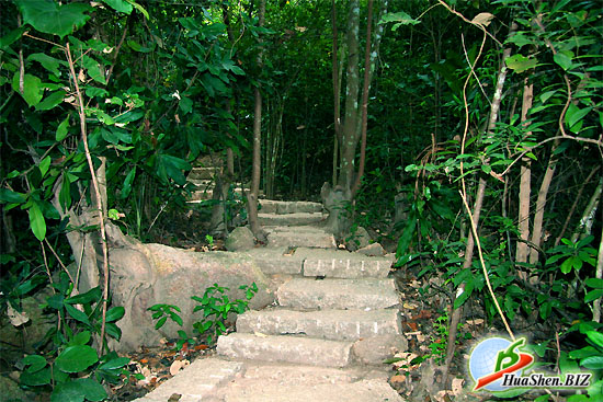   .        . Free download wallpapers Jungle of Hainan islands.  .