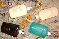 �������� ��������� Hua Shen - ������� � ������������ ����������� �������������� ��������� ����������