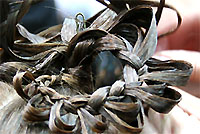 ��������� ������. ������������ �������� ��������� �� ������ ��������� ������������� ����